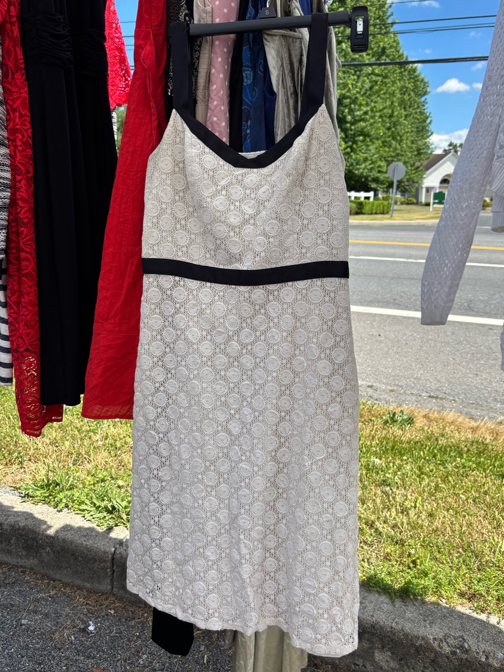 LOFT Petites Cream Lace Dress with Black Trim
